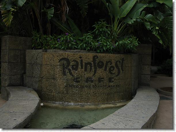 You have reached the last slide