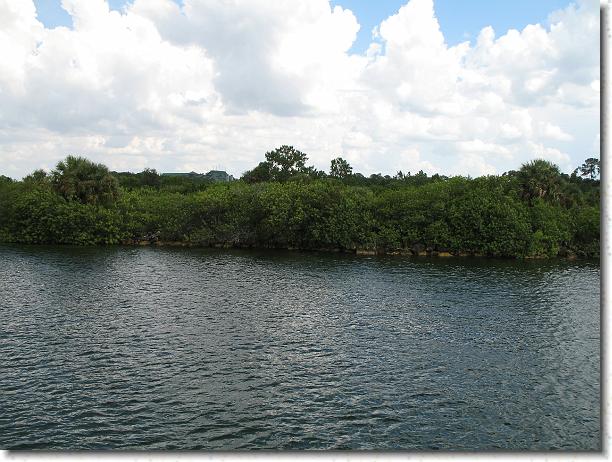 You have reached the last slide